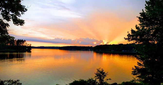 Registered Massage Therapy